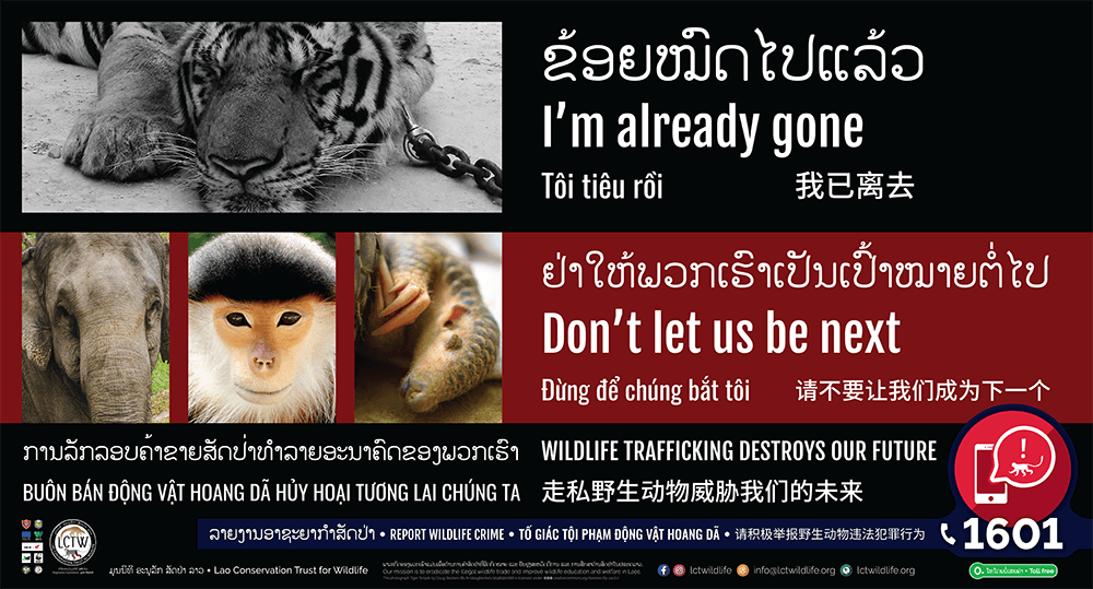 Anti wildlife trafficking billboard to be situated at an international airport