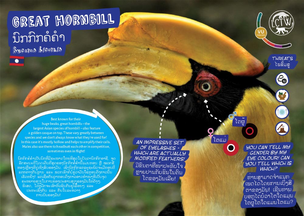 Great hornbill zoo sign