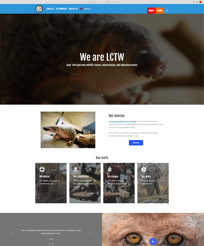 Website design for an anti wildlife trafficking NGO