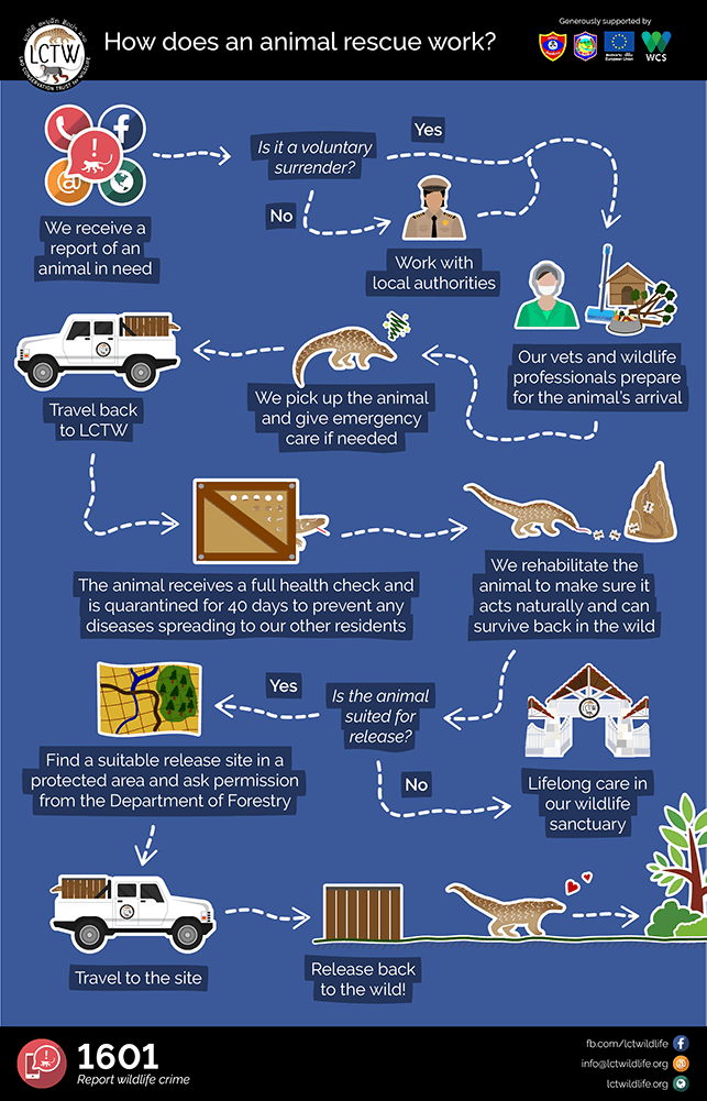 English leaflet describing the process of rehabilitation and release for animals confiscated from the illegal wildlife trade